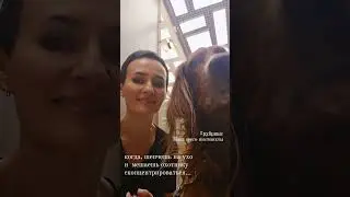 не мешайте охотнику, не шепчите на ухо, а то рискуете быть облизанным...