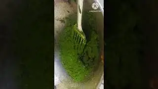 Delicious palak paneer recipe . subscribe subscribe  majadar palak paneer recipe