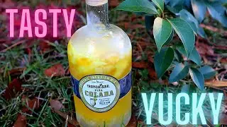 Tropical Soul Pina Colada Cocktail Infusion Review