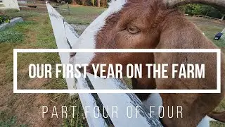 Our First Year on the Farm - Part 4 of 4