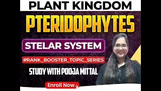 Steler system II PteridophytesII CUET-PGI BSc I MSc I CPET I TGT I PGT I Nidhi Gupta Ma'am