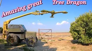 Amazing great tree dragon