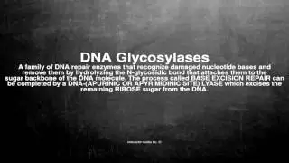Medical vocabulary: What does DNA Glycosylases mean