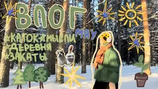 Влог с зимних каникул ⭐️ много закатов и деревня 🌱🪵