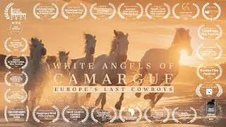 White Angels of Camargue - Europe's Last Cowboys (4K)
