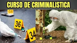 ¡ TODO LO QUE NECESITAS SABER SOBRE EL CURSO DE CRIMINALÍSTICA EN EL SENA !