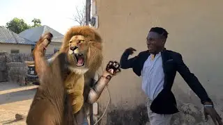 Why Nigerian Comedy is the BEST Comedy|funny videos Ig Xsolo