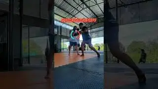 АЛЕКС ПЕРЕЙРА. НОКАУТ. обучалка+бонус