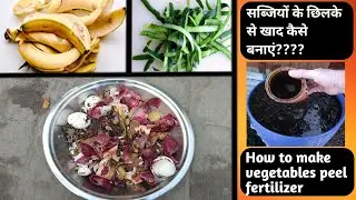 Vegetables peel liquid fertilizer | Home made fertilizer | pack of all nutrients |
