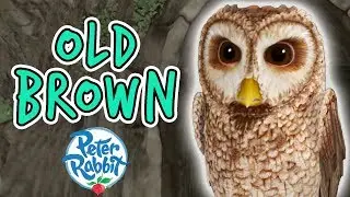 Peter Rabbit - Old Brown Tales Compilation | 20 minutes | Adventures with Peter Rabbit