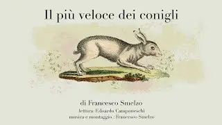 Il più veloce dei conigli