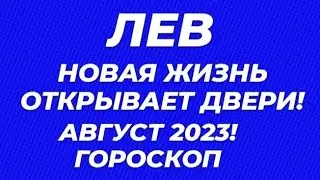 ЛЕВ♌ГОРОСКОП НА АВГУСТ 2023 ГОД ОТ МИЛЫ!