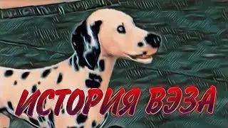 Минифильм 