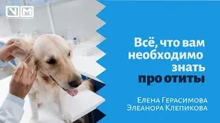 Все, что вам необходимо знать про отиты