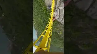 Пффф😂 | мемы | приколы от zubarefff 
