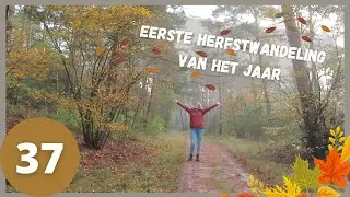 HERFSTWANDELING IN MARGARETHABOS -  wandelvlog 37