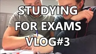 STUDYING FOR EXAMS | TU DELFT VLOG#3