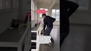 Incredibly Aggressive Dog Meets The Dog Daddy 😳
