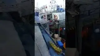 = The ship 