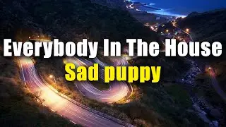 Sad Puppy - Everybody In The House (Radio Edit)| iCC