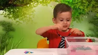 Динозавры вылупляются из яиц / Dinosaurs hatched from eggs