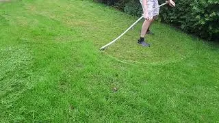 Scything grass