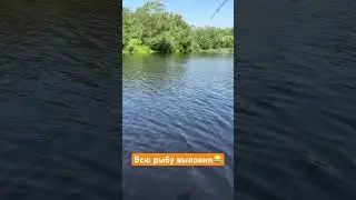 Опять поймал) #рыбалка #поймалотпусти #малыереки #рыбак #жерех #спиннинг #шереспер #речнойконь