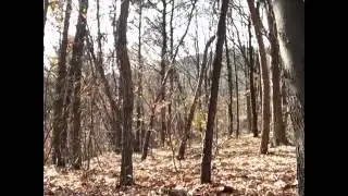 Kamereya Takılan Hayalet