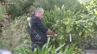 Manager TV - Duffel - Plantenhotel Nauwelaerts