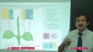 Video Clases: Biología - Ecología