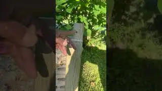 What is a Mortise and Tenon Joint?