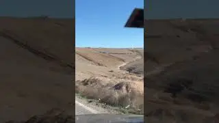 Kangalların Kovaladığı da Ne ?