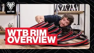 WTB Rim Overview 