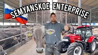 MODERN RUSSIAN DAIRY FARM!!!