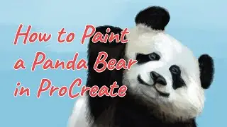 How to paint a Panda Bear || Animal illustration in Procreate