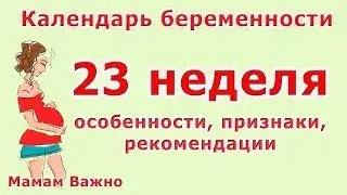 23 неделя беременности: изменения, рекомендации, особенности