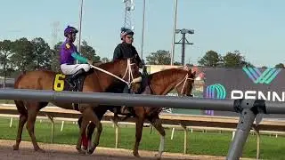 BruceLea Horse Race