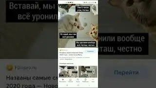 мем#859