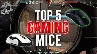 5 Best Mice For Valorant Gaming