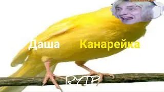 Даша Канарейка (Мини RYTP)