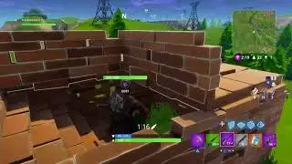 Fortnite Battle Royale / part 24