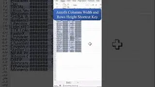 Autofit Columns Width and Rows Height Shortcut Key in Excel | Excel Tips and Tricks | 
