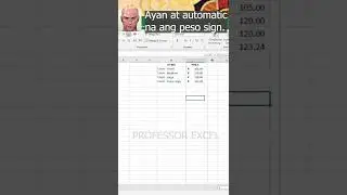 How to put a peso sign in Excel 