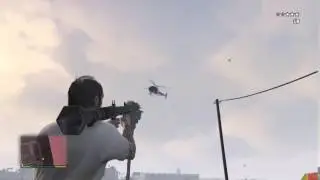 Grand Theft Auto V - Bird Down