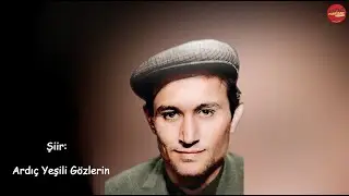 ARDIÇ YEŞİLİ GÖZLERİN / #İbrahimKaypakkaya - Şiir