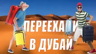РЕАЛЬНЫЕ истории людей про ДУБАЙ.