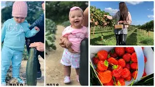 FAZENDA DE MORANGOS 🍓LONDRES