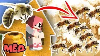 A Tsunami of Bees vs. a Honey House in Minecraft