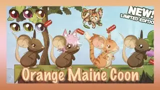 Transformice: Orange Maine Coon (Cat) Fur & Giveaway #34!