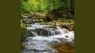 Serene Streamside Bliss